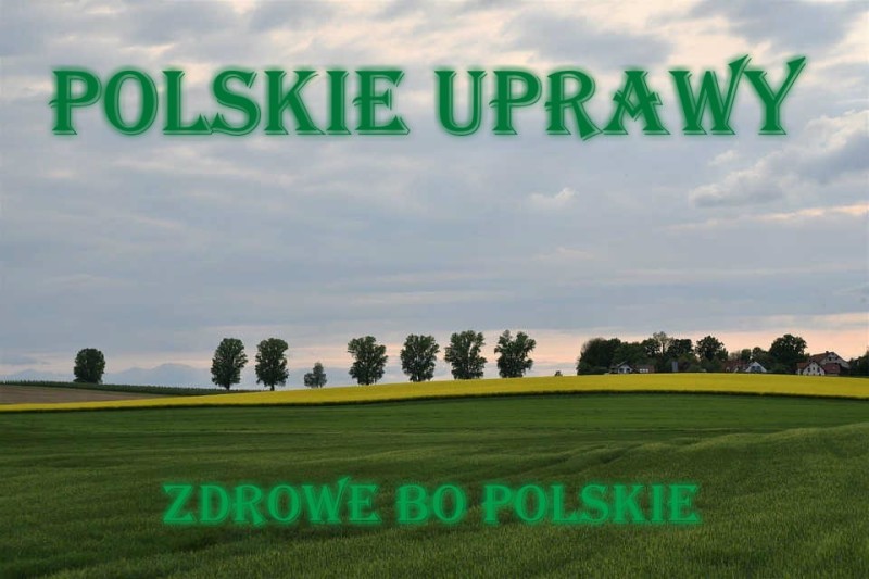 Logo POLSKIE UPRAWY